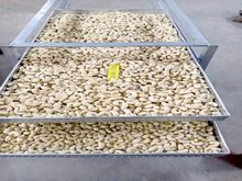 Best Fresh Okra Vegetables Suppliers in India