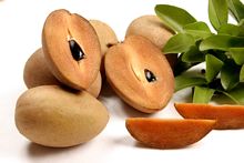 Best Fresh Banana Stem Vegetables Suppliers in India