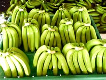 Best Fresh Mumbai Red Onion Vegetables Suppliers in India