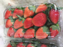 Best Fresh Mumbai Red Onion Vegetables Suppliers in India