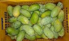 Best Fresh Green Chilli Vegetables Suppliers in India