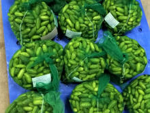 Best Fresh Button Mushroom Vegetables Suppliers in India