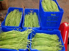 Best Fresh Banana Flower Vegetables Suppliers in India