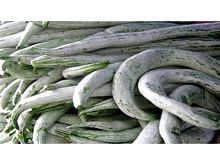 Best Fresh Banana Stem Vegetables Suppliers in India