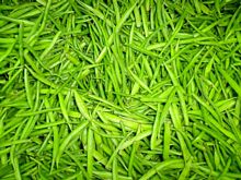 Best Fresh Small Onion Vegetables Suppliers in India