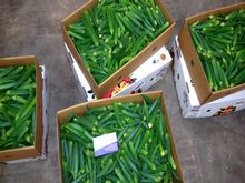 Best Fresh Okra Vegetables Suppliers in India