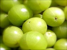 Best Fresh Green Banana Vegetables Suppliers in India