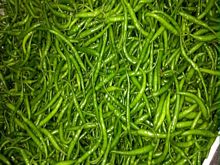 Best Fresh Dhudhi Vegetables Suppliers in India