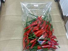 Best Fresh Padwal Vegetables Suppliers in India