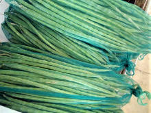 Best Fresh Cluster Beans Vegetables Suppliers in India