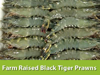 Best Fresh Okra Vegetables Suppliers in India