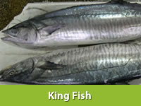 Best Fresh Ivy Gourd Vegetables Suppliers in India